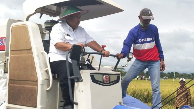 Baru Satu Desa, Kaubun Sudah Surplus Beras