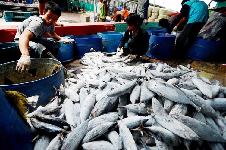Potensi Kelautan dan Perikanan Kutim Bisa Jadi Tumpuan Ekonomi