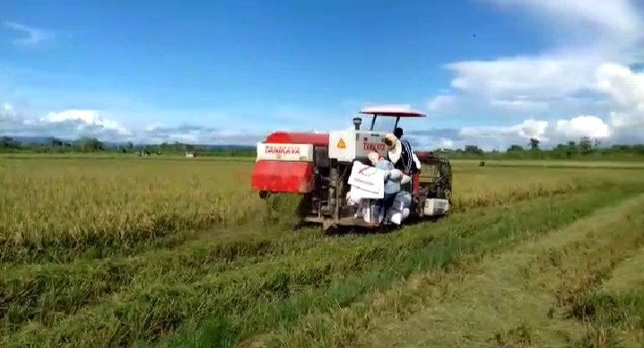 Swasembada, David Harap Bantuan Prioritas Sektor Pertanian