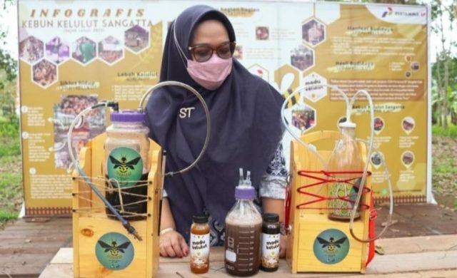 Ketika Tirah Satriani Kunjungi Kebun Madu Kelulut Sangatta Selatan