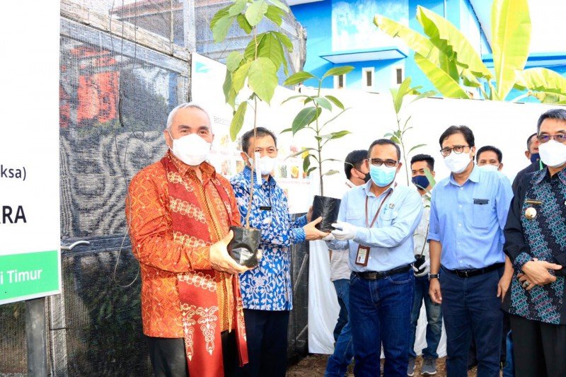 Kunker Gubernur: Berharap Lestarikan Buah Langka Khas Kaltim