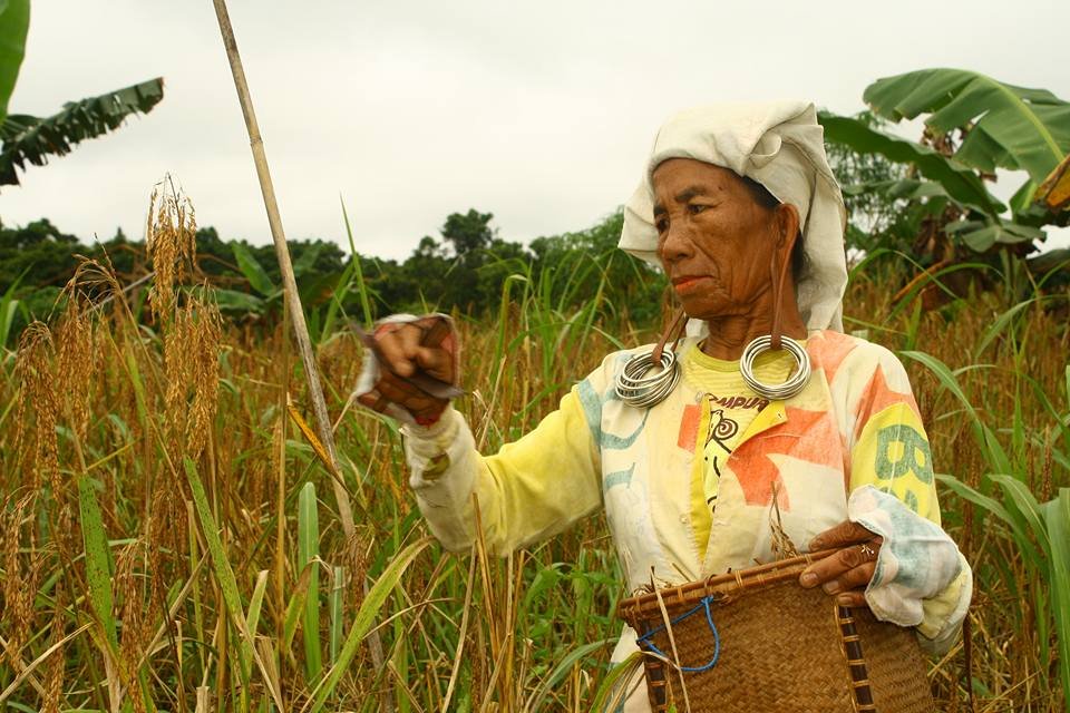 Kenduri Sang Dewi Di Kutai Timur (part 3)