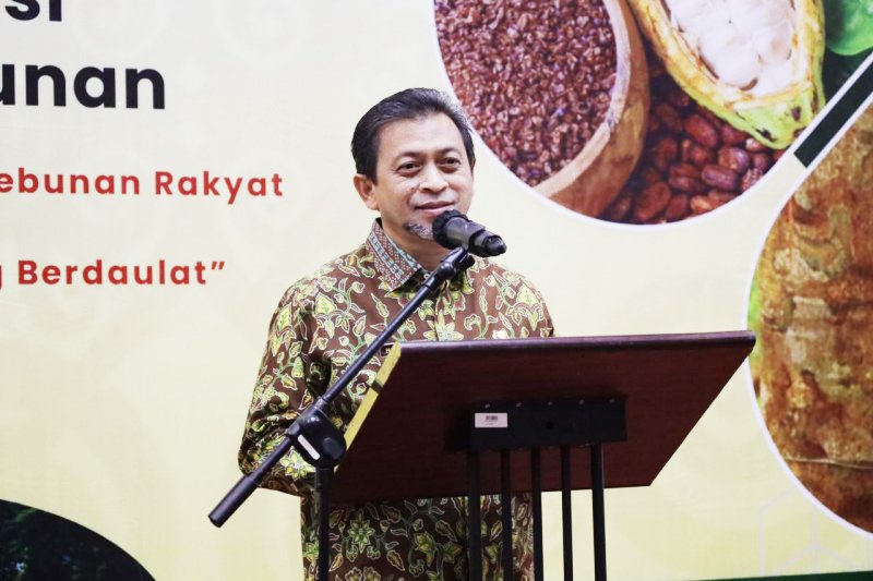 Wagub Pastikan Minyak Stok Goreng Cukup Sampai Lebaran