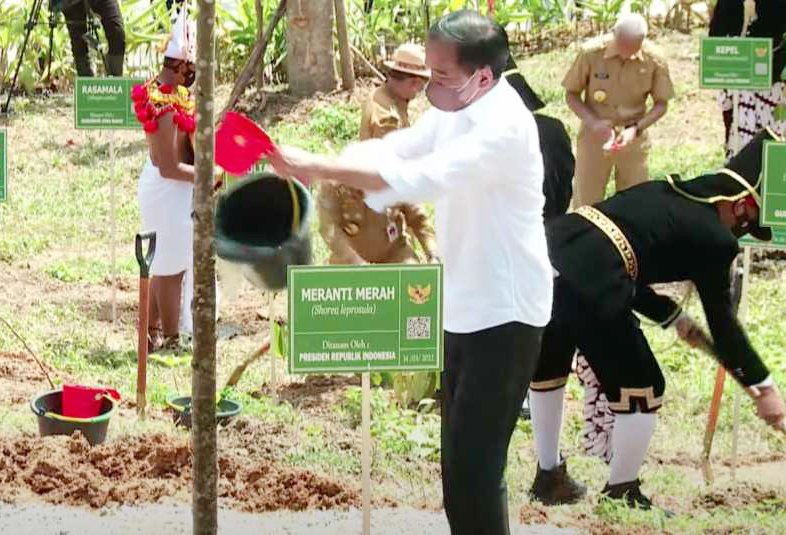 Presiden Dan 34 Gubernur Tanam Pohon Di IKN