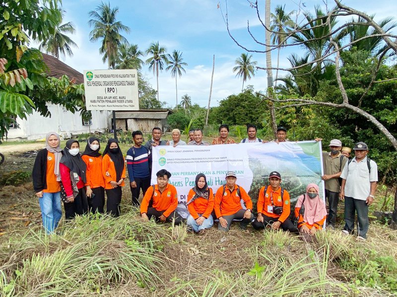 Pengembangan Budidaya, Disbun Latih Petani PPU