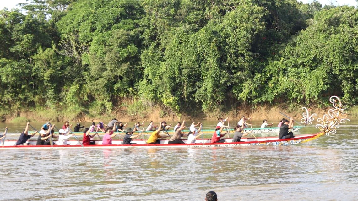 Kasmidi Saksikan Lomba Perahu Tradisional di Sungai Atan Busang