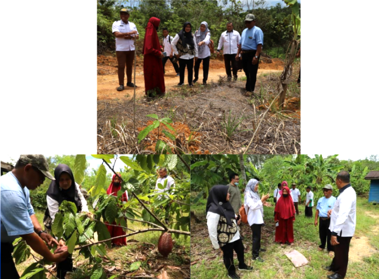 Komitmen Disbun Kaltim Tingkatkan SDM Poktan