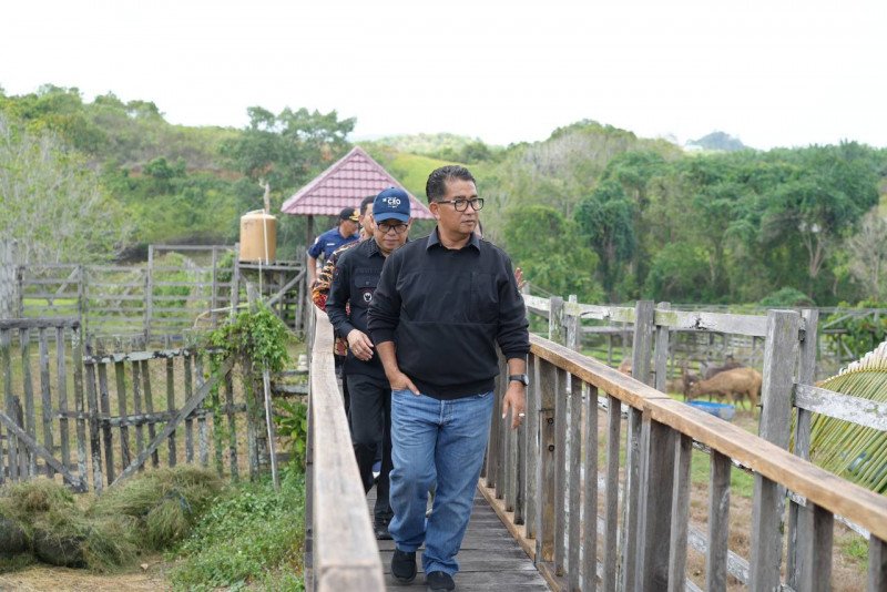 Pj Gubernur Kaltim Puji Penangkaran Rusa Sambar Api-api