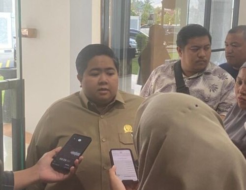 Ananda Emira Bentuk Pansus dan Sempurnakan RPJMD